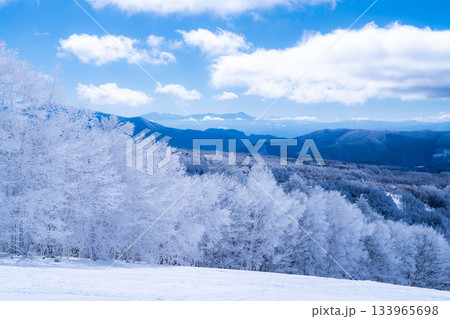 【冬素材】白銀の霧氷の風景【長野県】 133965698