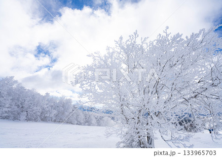 【冬素材】白銀の霧氷の風景【長野県】 133965703
