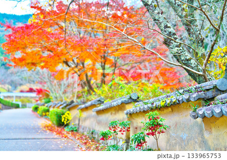 紅葉の松平郷 133965753