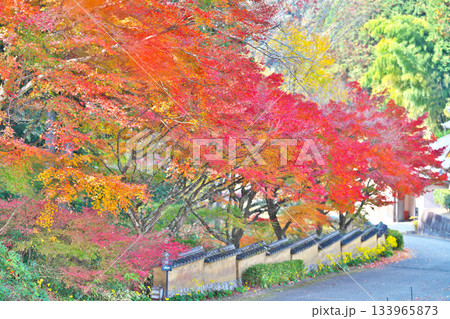 紅葉の松平郷 133965873