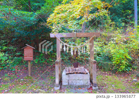 松平郷の見初めの井戸 133965877