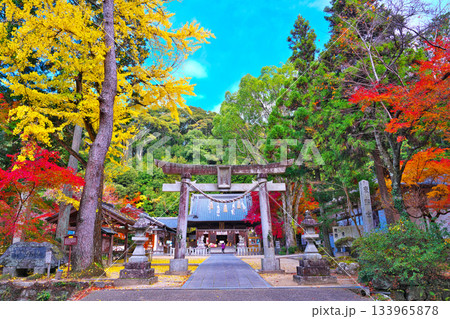 紅葉の松平東照宮 紅葉の松平東照宮 133965878