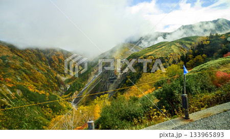 立山高原バス車窓風景　雨上がりの御赦免滝　富山県 133965893