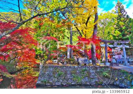 紅葉の松平東照宮 紅葉の松平東照宮 133965912