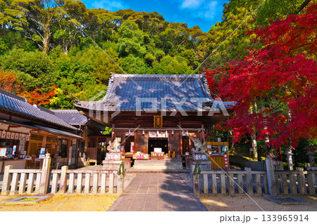 紅葉の松平東照宮 133965914