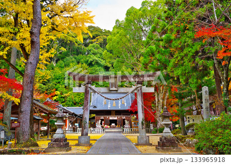 紅葉の松平東照宮 133965918