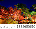 庭園のライトアップされた紅葉樹 133965950