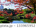 都会の楽園　神戸の相楽園の紅葉 133965952