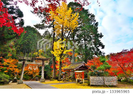 紅葉の松平東照宮 紅葉の松平東照宮 133965965