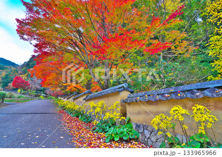 紅葉の松平郷 133965966
