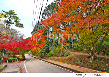 紅葉の松平郷 紅葉の松平郷 133966065