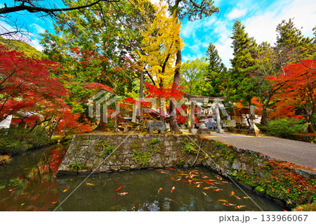 紅葉の松平東照宮 紅葉の松平東照宮 133966067