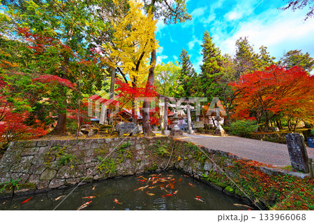 紅葉の松平東照宮 133966068