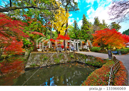 紅葉の松平東照宮 133966069