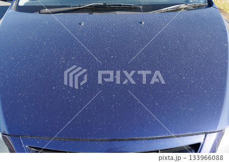 汚れた車体 ボンネット 133966088