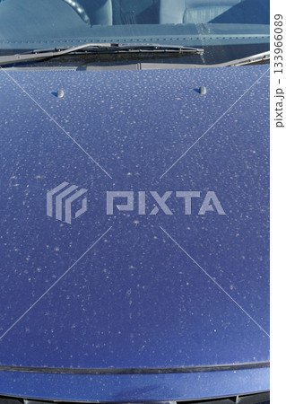 汚れた車体 ボンネット 汚れた車体 ボンネット 133966089