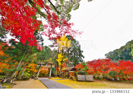 紅葉の松平東照宮 133966152