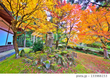 紅葉の松平東照宮 紅葉の松平東照宮 133966153