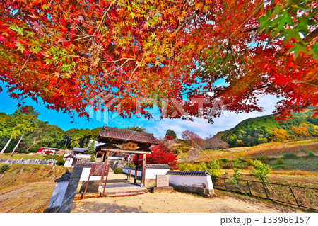 松平郷の高月院 133966157