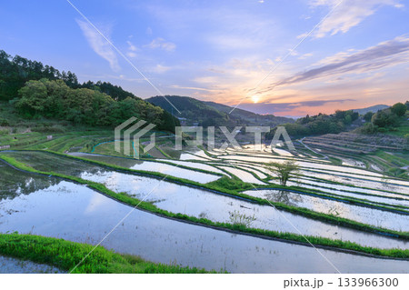 岡山_大垪和西の棚田 岡山_大垪和西の棚田 133966300