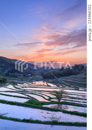 岡山_大垪和西の棚田 133966301