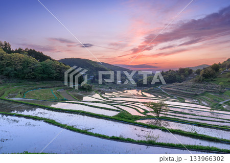 岡山_大垪和西の棚田 岡山_大垪和西の棚田 133966302