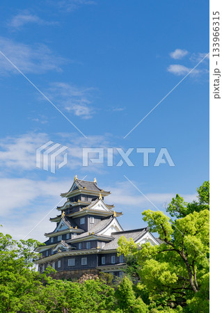 岡山_新緑に映える岡山城 133966315