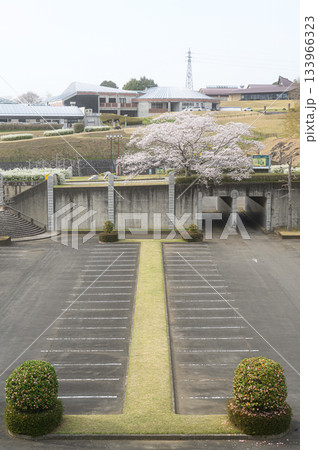 笠間芸術の森公園の桜　春の風景 133966323