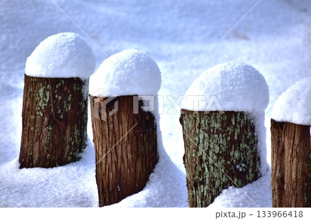 初雪の頃 133966418