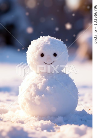 Cute Smiling Snowman Standing in Snowy Winter Field at Sunset 133966796