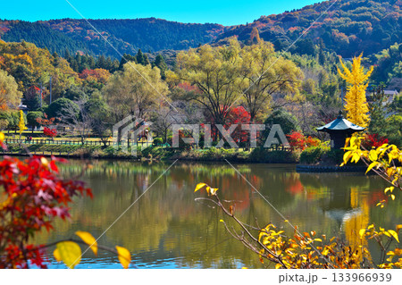 定光寺公園の紅葉 定光寺公園の紅葉 133966939