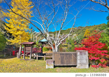 定光寺公園の紅葉 定光寺公園の紅葉 133966989