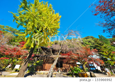 定光寺の秋 133966992