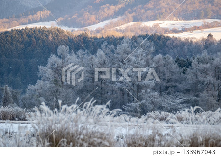 里山に降りた霜(蒜山高原) 里山に降りた霜(蒜山高原) 133967043