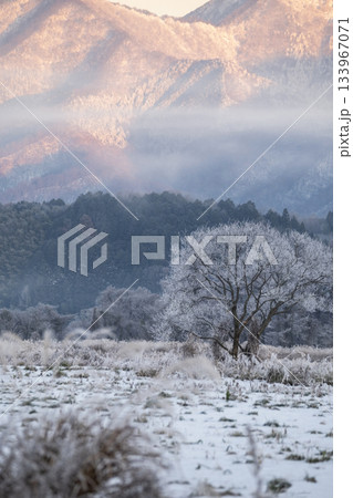 里山に降りた霜(蒜山高原) 里山に降りた霜(蒜山高原) 133967071