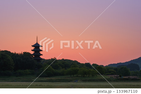 岡山_備中国分寺五重塔の絶景 133967110