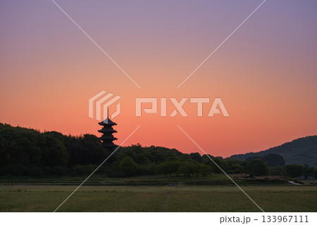 岡山_備中国分寺五重塔の絶景 岡山_備中国分寺五重塔の絶景 133967111