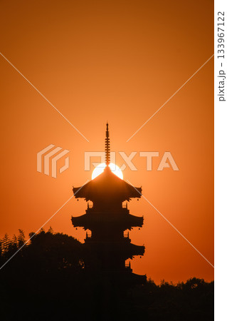 岡山_備中国分寺五重塔の絶景 133967122