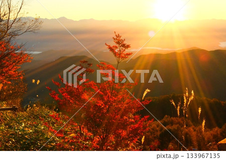 阿智村天空の楽園ヘブンスそのはらの星空と日の出 133967135