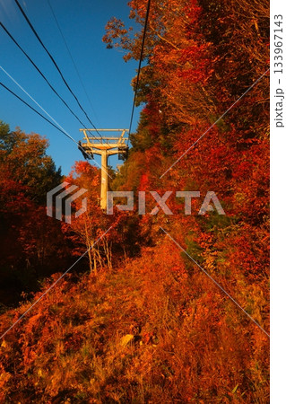 阿智村天空の楽園ヘブンスそのはらの星空と日の出 阿智村天空の楽園ヘブンスそのはらの星空と日の出 133967143