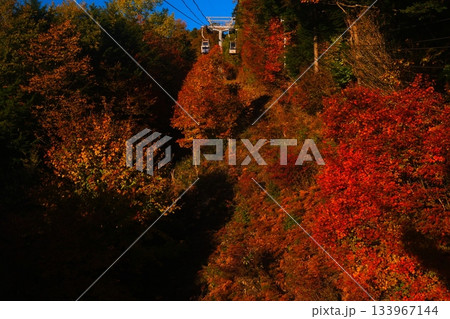 阿智村天空の楽園ヘブンスそのはらの星空と日の出 133967144