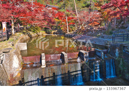 岩屋堂公園の紅葉 岩屋堂公園の紅葉 133967367