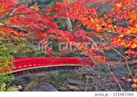 岩屋堂公園の紅葉 岩屋堂公園の紅葉 133967369