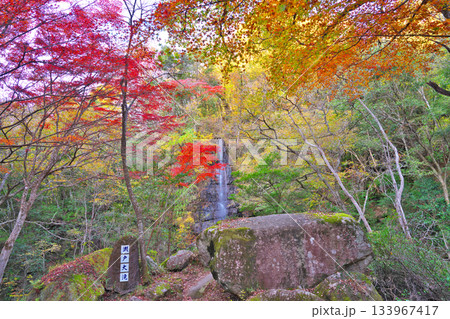 岩屋堂公園の紅葉 岩屋堂公園の紅葉 133967417