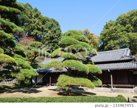新緑に包まれた皇居の大番所 新緑に包まれた皇居の大番所 133967455