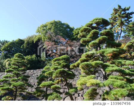 皇居から見る石垣のある風景 133967456