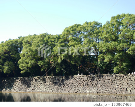 桔梗濠の風景｜皇居 133967469