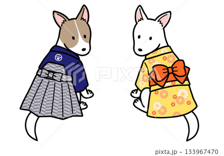 着物を着たオスメスの犬 133967470