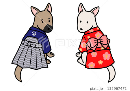 着物を着たオスメスの犬 着物を着たオスメスの犬 133967471