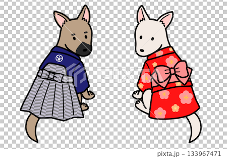 着物を着たオスメスの犬 着物を着たオスメスの犬 133967471
